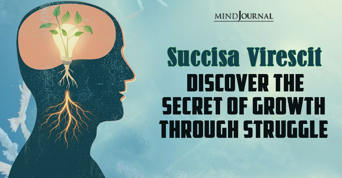 Succisa Virescit: 3 Ways To Discover The Secret Of Growth