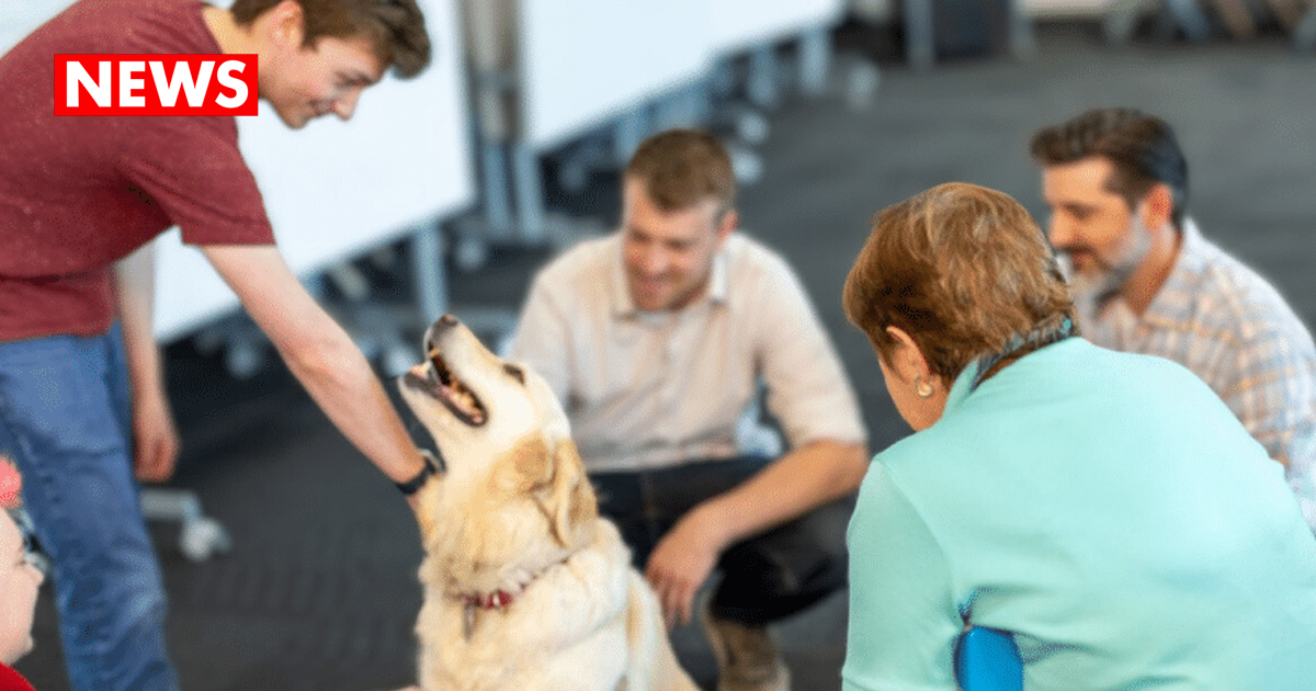 Therapy Animals Reduce Workplace Stress for Global Teams
