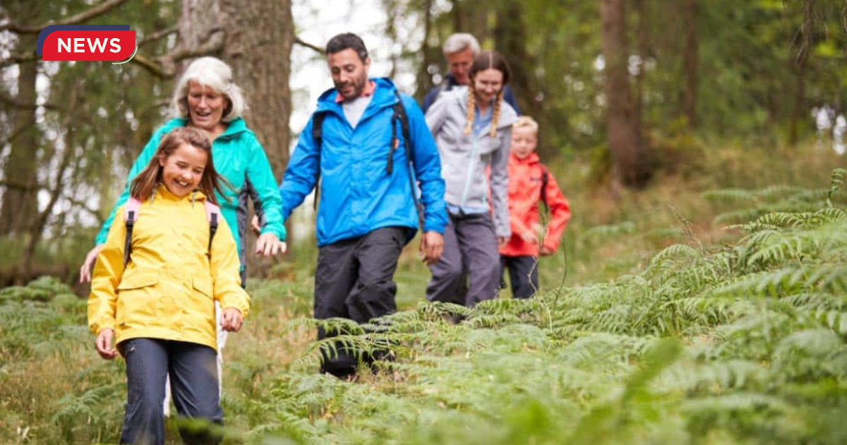 Real Strategies for Family Stress Relief This Holiday Season