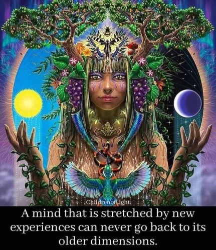 Zodiac Signs Mindset