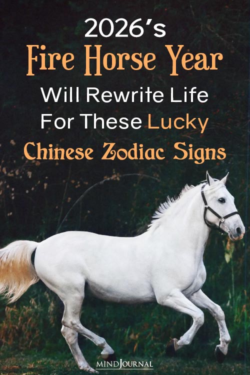 chinese zodiac signs