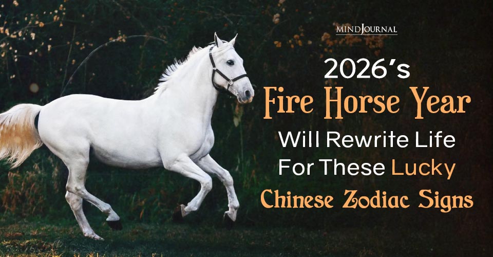 5 Lucky Chinese Zodiac Signs In Horse Year 2026