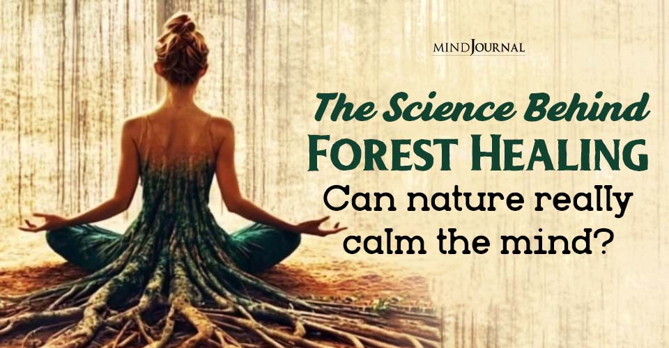 The Science Behind Forest Healing: Can Nature Really Calm The Mind?
