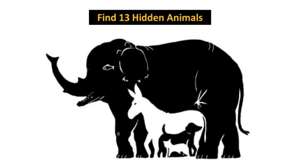 Can You Find The Hidden Animals In The Picture?