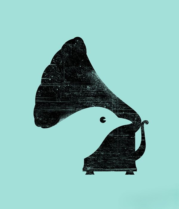 What Do You See First