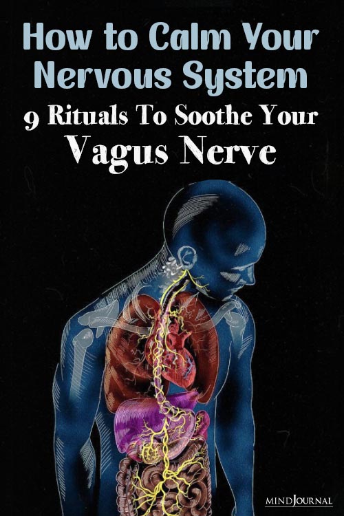 nervous system reset