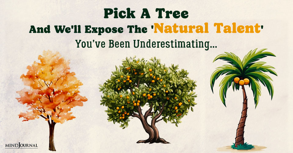 Pick A Tree Test: Discover Your Talent (3 Results)