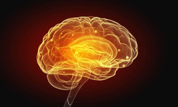 Understanding SSRIs: What You Need to Know