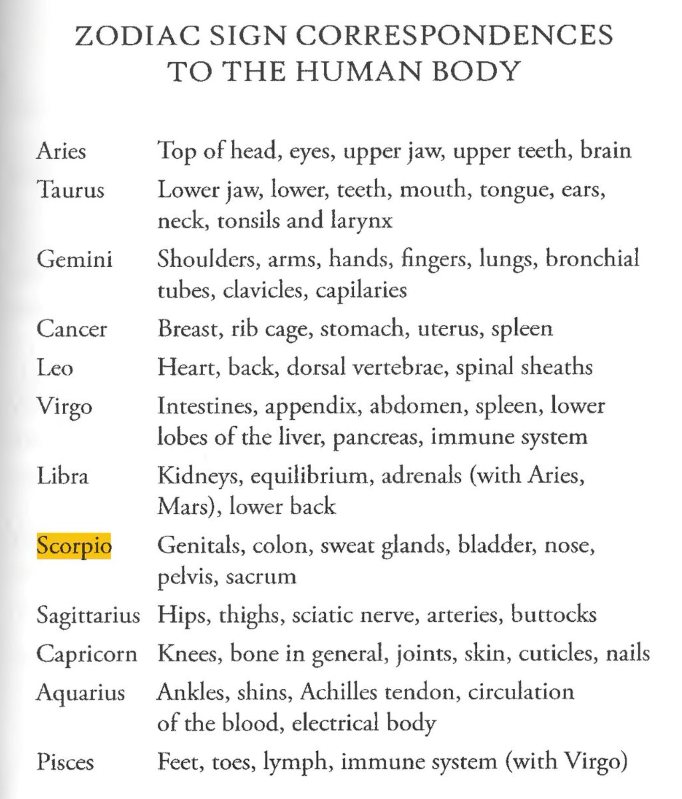 Vulnerable Points Of Each Zodiac