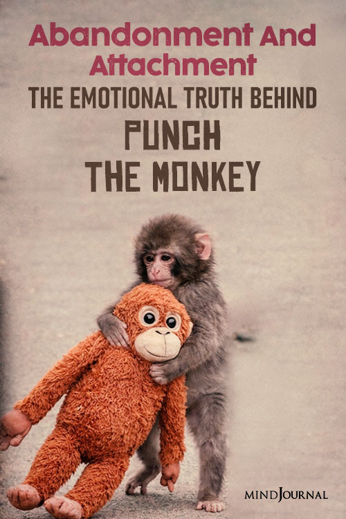 baby monkey traumatized