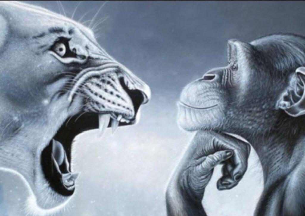 How To Stop Snapping At People? 11 Ways To Keep Peace