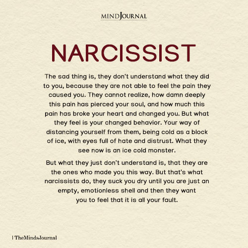 Narcissist Emotional Trauma: Understanding the Damage and Your Path To Healing