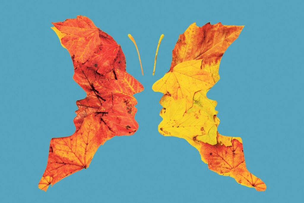 Butterfly Optical Illusion