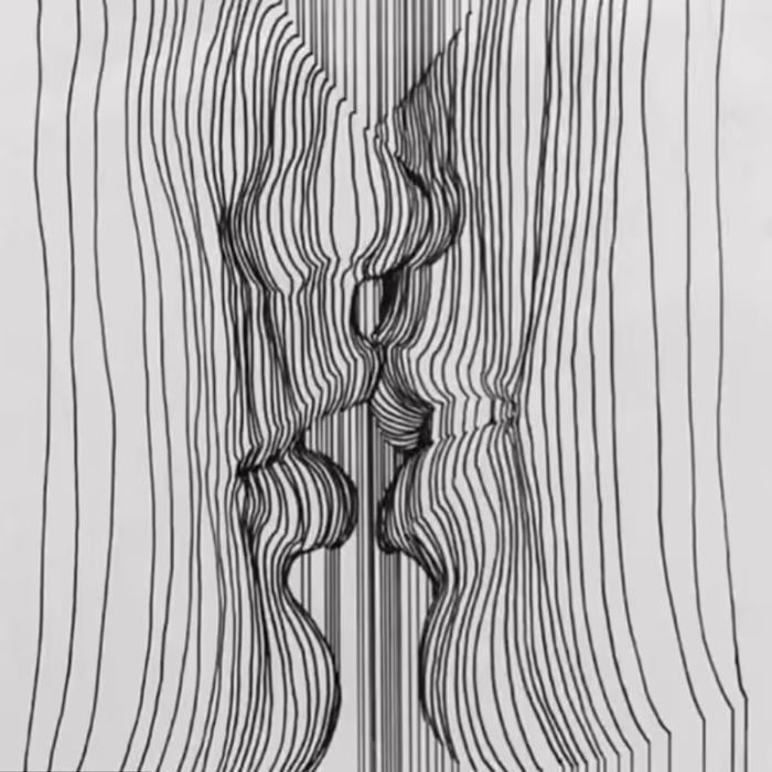 Lines Optical Illusion Test: Kiss Or Lines - What Do You See First? (And It Has A Deeper Meaning...