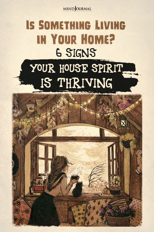 what is a house spirit