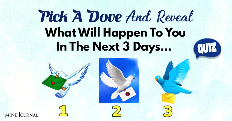Fun Bird Personality Test: What Will Happen To You In 3 Days