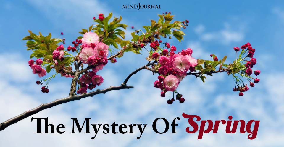 The Mystery Of Spring