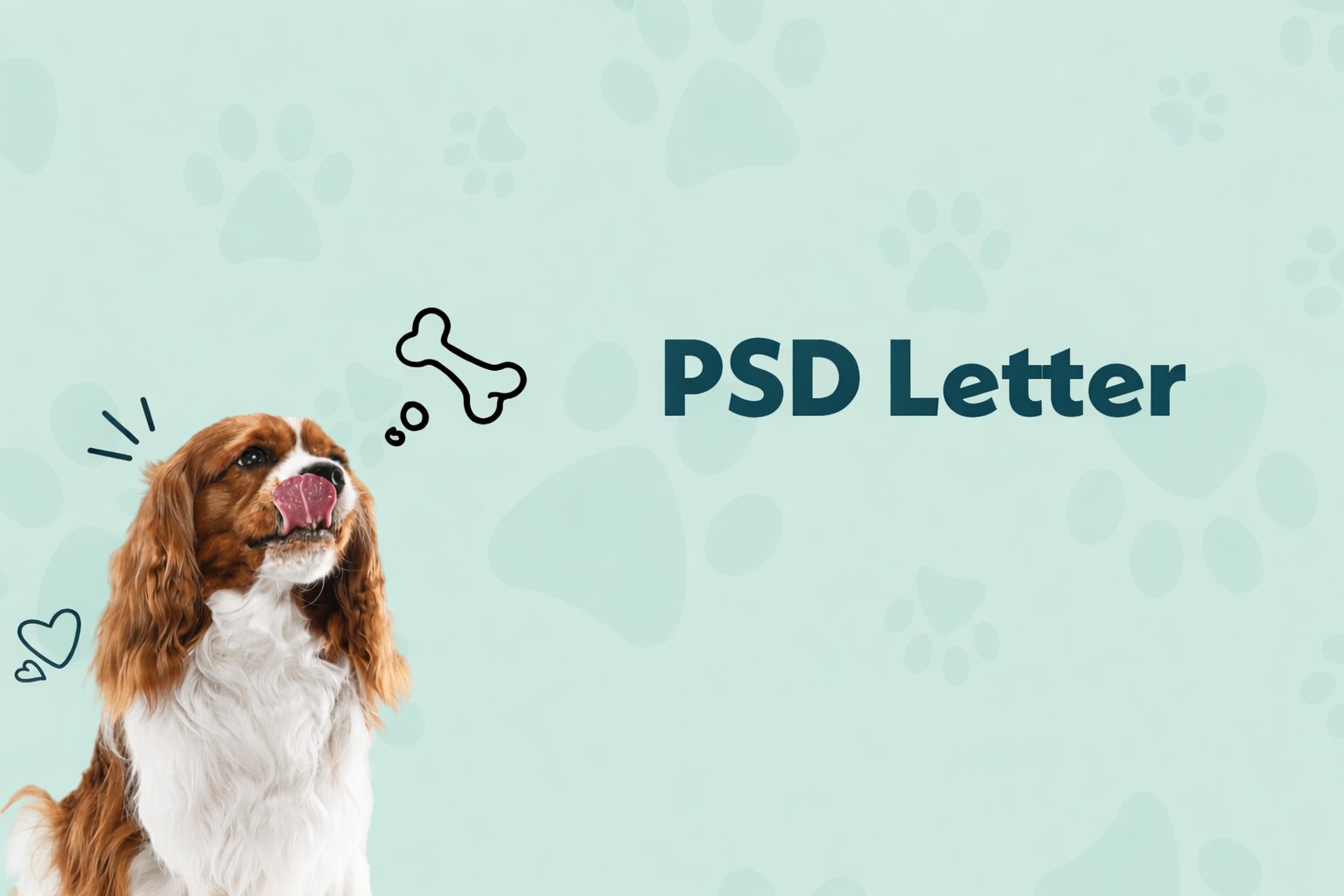 What Disabilities Qualify for a PSD Letter in 2026?