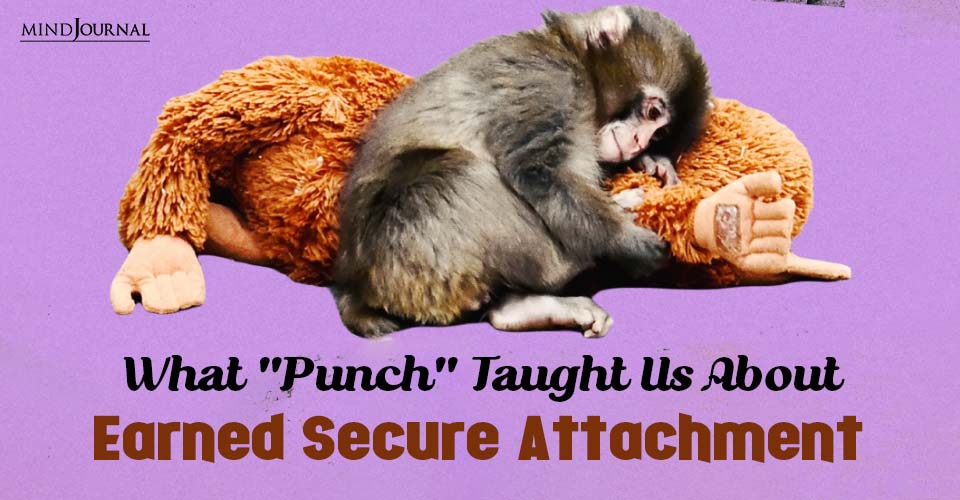 What Punch Taught Us About Earned Secure Attachment thumbnail