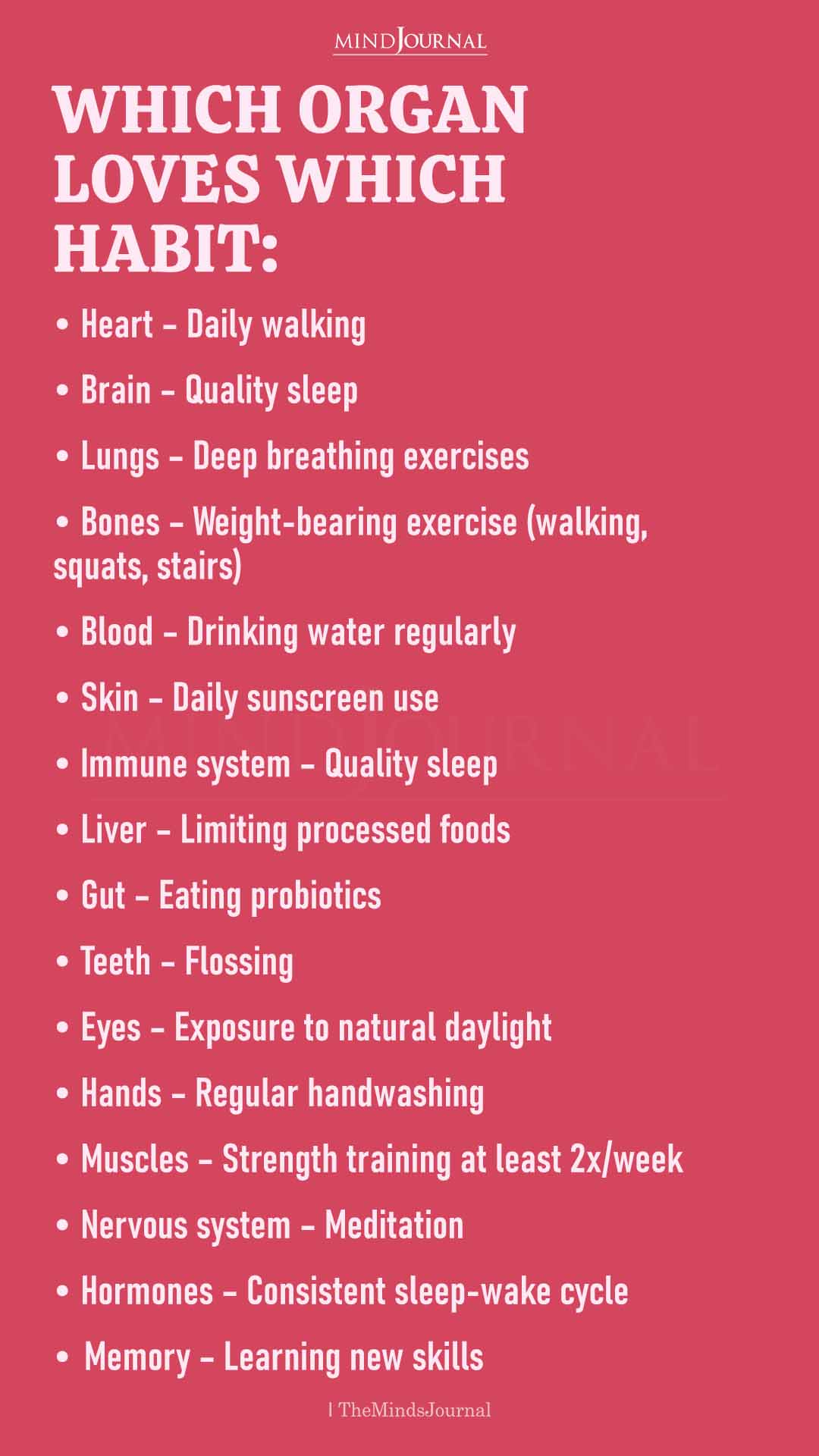 Which Organ Loves Which Habit? Tiny Daily Choices, Big Health Protection