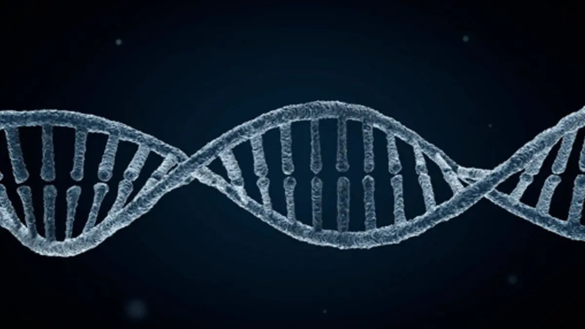 Whole Exome Sequencing Services: A Focused Approach to Clinically Relevant Genomic Variation