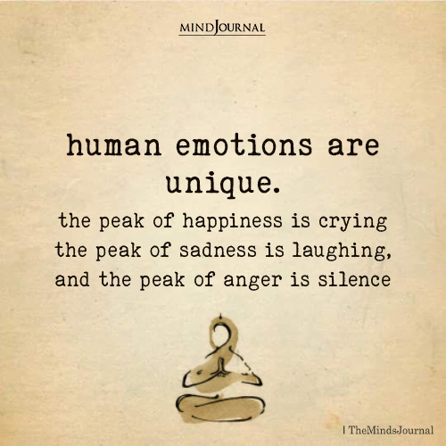Human Emotions Are Unique: Why Happiness, Sadness, and Anger Peak in Unexpected Ways
