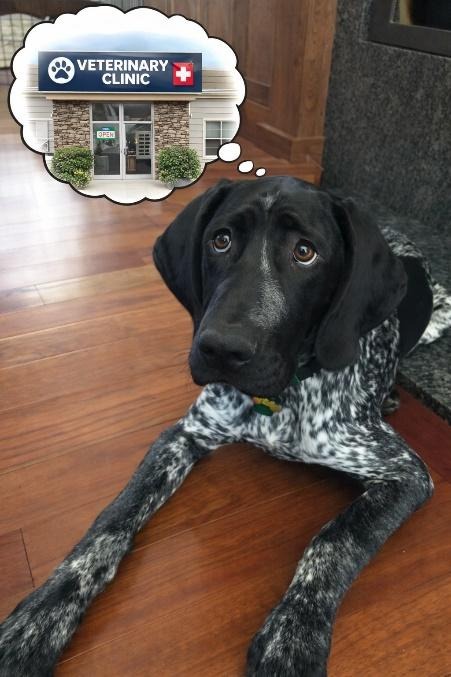 Worrying About Tomorrow Change Your Dreams And Sleep?