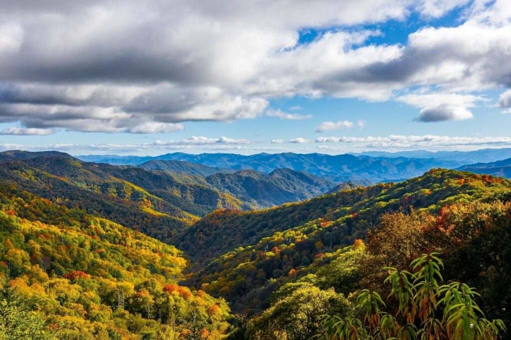 How Nature Getaways Help Families Reconnect and Recharge