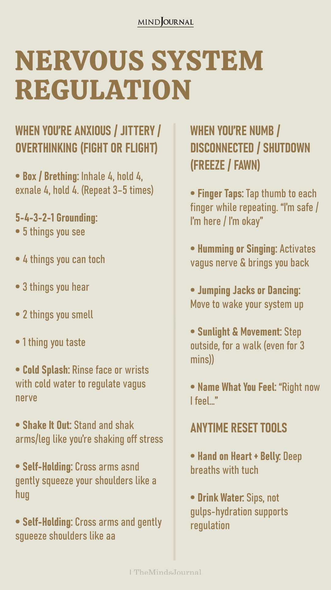 Nervous System Regulation: Simple Tools to Calm Anxiety and Reconnect With Your Body