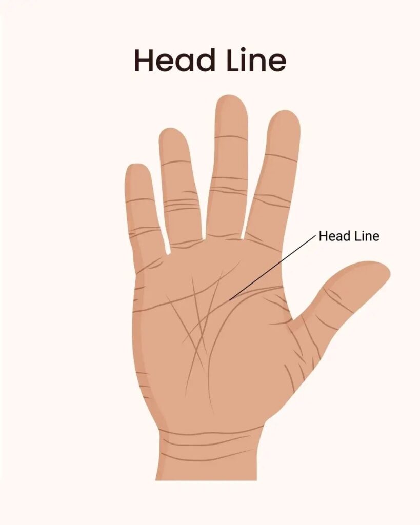 Head Line Palmistry
