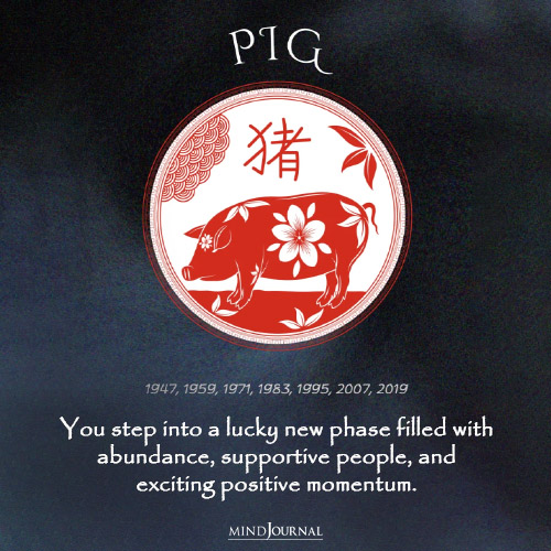 The Universe Has Good News For 3 Chinese Zodiac Signs On May 28, 2026 - PIG