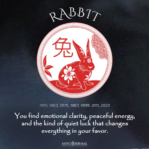 The Universe Has Good News For 3 Chinese Zodiac Signs On May 28, 2026 - Rabbit