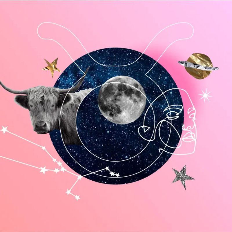 Taurus New Moon 2026