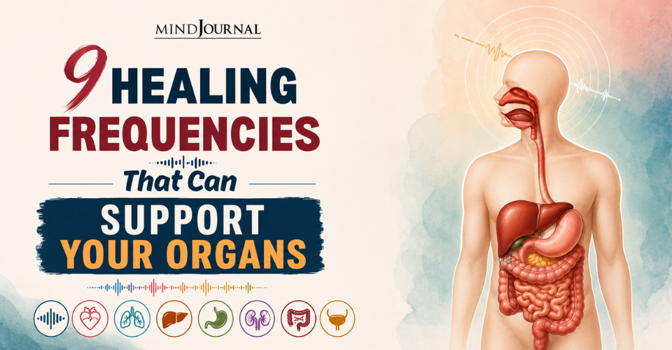 Organ Frequencies: 9 Best Healing Sounds To Help Your Organs